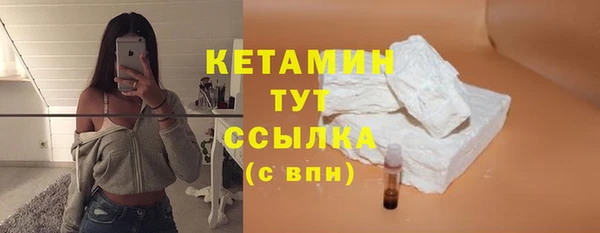 шишки Заводоуковск