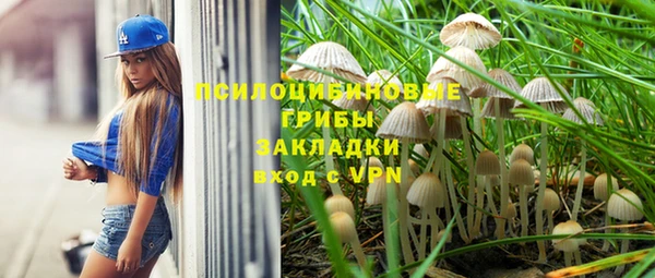 2c-b Заволжье