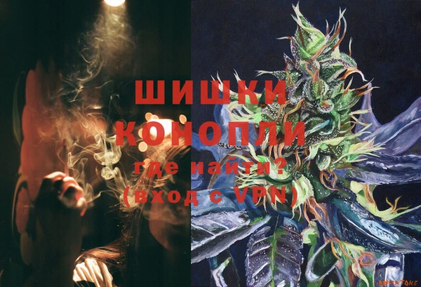 шишки Заводоуковск