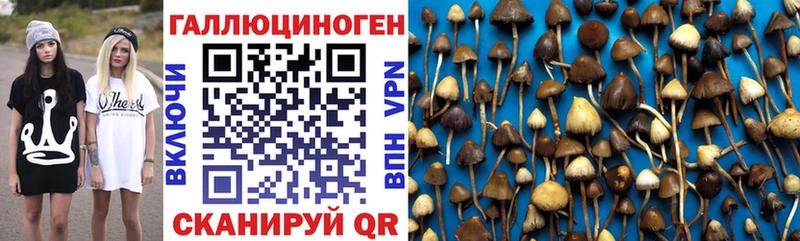 Купить закладки  Жуков  Галлюциногенные грибы MAGIC MUSHROOMS 